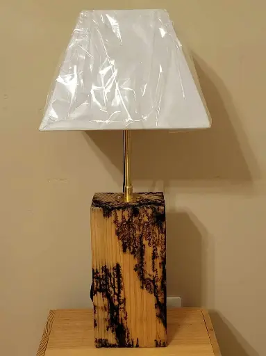 Pied de lampe de chevet en bois brûlé 